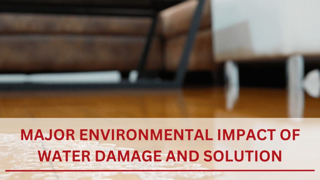 Major Environmental Impact Of Water Damage And Solution