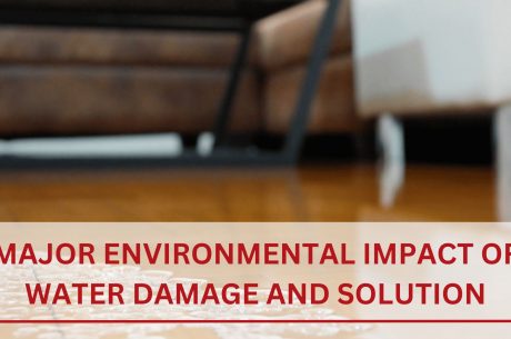 Major Environmental Impact Of Water Damage And Solution