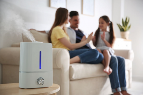 Does an Air Purifier Remove Mold?