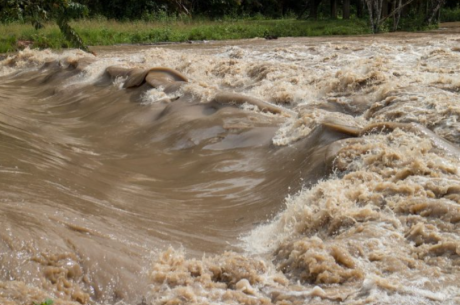 10 Facts About Flash Floods (Must Know)