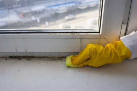 How to Prevent and Remove Mold on Windows