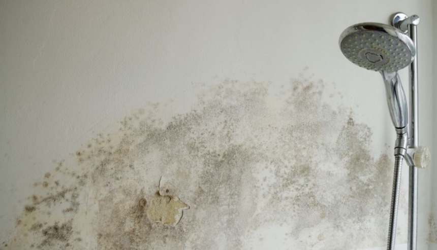 How to Remove Mold or Mildew from Bathroom Walls