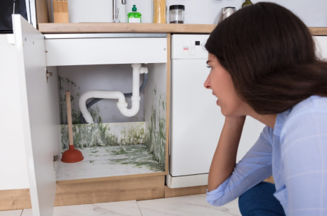 How to Remove Mold From Kitchen Cabinets