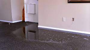 Steps On How to Dry Wet Carpet After Flood