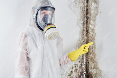 Quality Mold Removal and Remediation in Jersey City