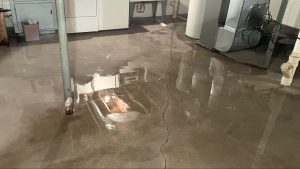 Quick Water Damage Mitigation in Jersey City