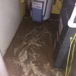 PuroClean of Central Denver Basement Flood Cleanup Service