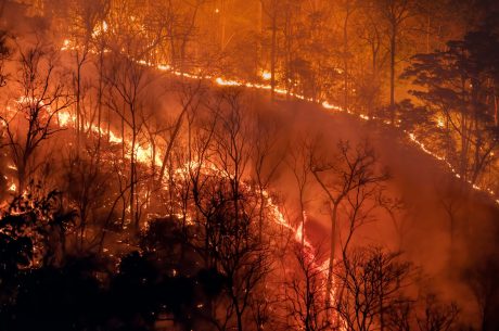 climate change wildfire