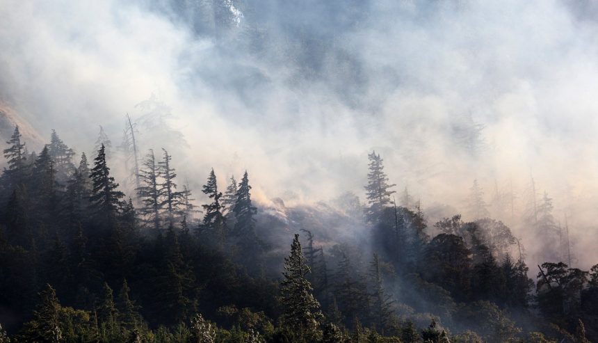 denver wildfires