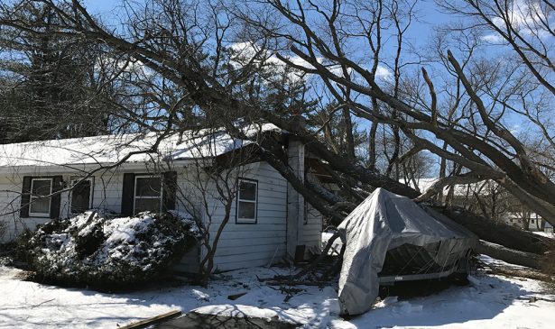 Tree damaged home before reconstruction by PuroClean Elkton MD