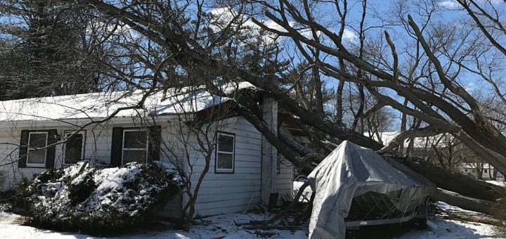 Tree damaged home before reconstruction by PuroClean Elkton MD