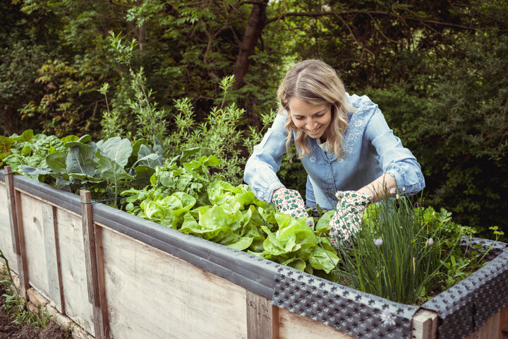 A woman tends to her plants in a raised garden bed.