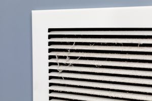 Air Duct Cleaning for Pet Owners