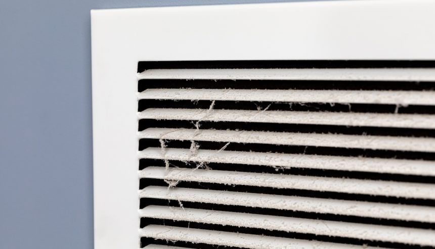 Air Duct Cleaning for Pet Owners