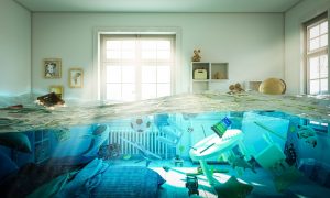 Water Damage Restoration of High-Value Items