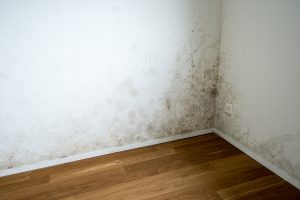 Mold Growth Prevention