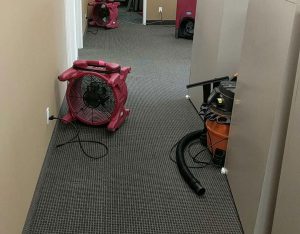 flooded carpet cleaning flood cleanup