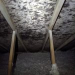 Image of Mold in an attic