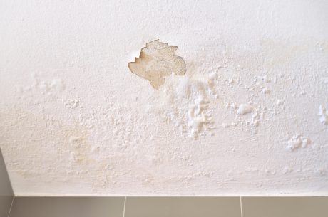 Water Damage Restoration