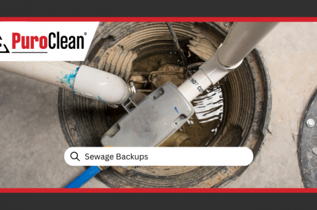 Sewage Backups