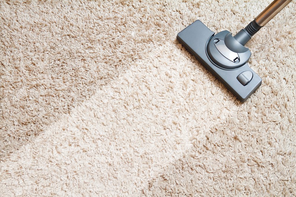 How to Remove Musty Smells from Carpet