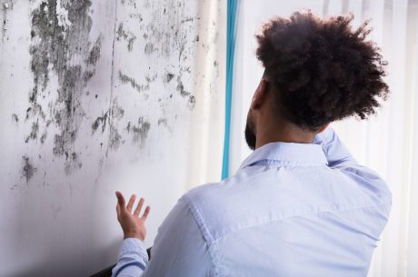 a man find mold growth on his wall