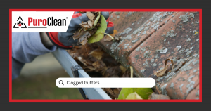 Clogged Gutters