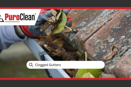 Clogged Gutters