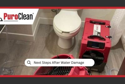 steps after water damage