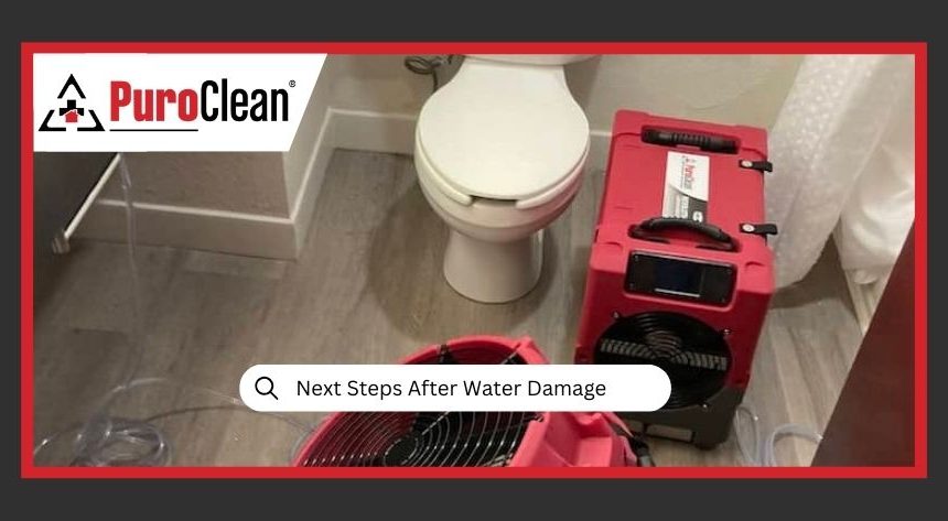 steps after water damage