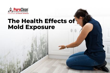 Mold Exposure