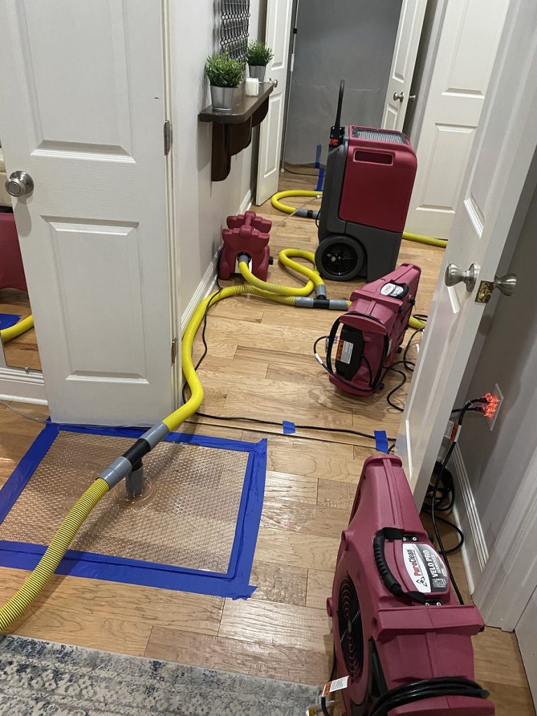 water extractor, drying hardwood floor, water remediation, mold prevention