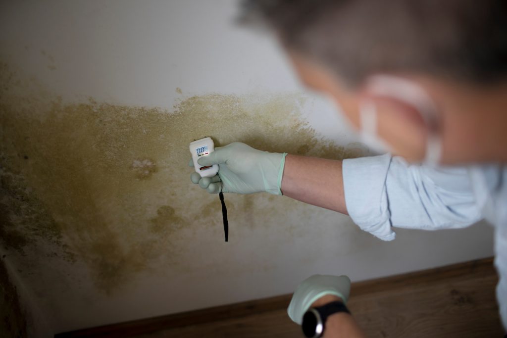 water damage restoration cost - evaluating damage