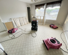 Water remediation services carpet Houston