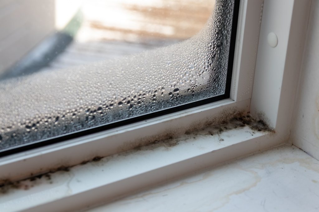 Condensation on your windows can spur mold growth.