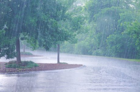 Heavy rain from summer storms.