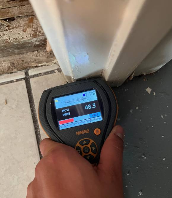 Moisture meters can see hidden water damage.