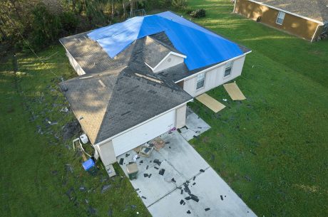 Storm Damage Preparedness and Restoration