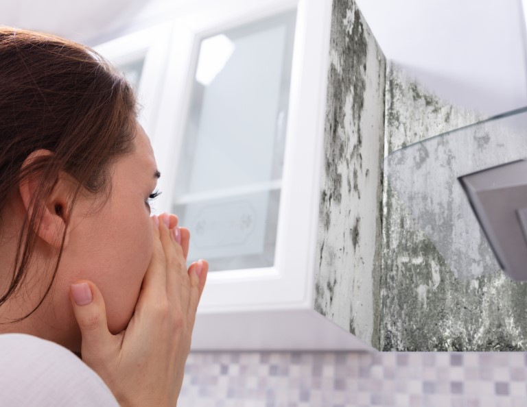 10 Warning Signs of Mold Toxicity