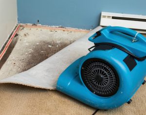 The Do’s and Don’ts of Drying Out Your Home After Water Damage