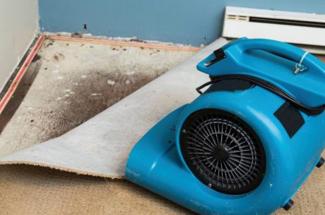 The Do’s and Don’ts of Drying Out Your Home After Water Damage