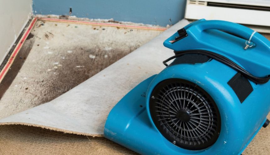 The Do’s and Don’ts of Drying Out Your Home After Water Damage