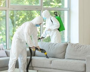 Navigating Biohazard Cleanup For Homeowners