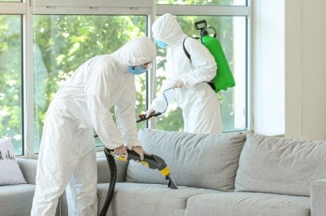 Navigating Biohazard Cleanup For Homeowners