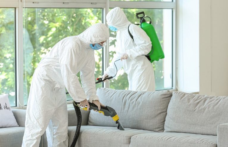 Navigating Biohazard Cleanup For Homeowners