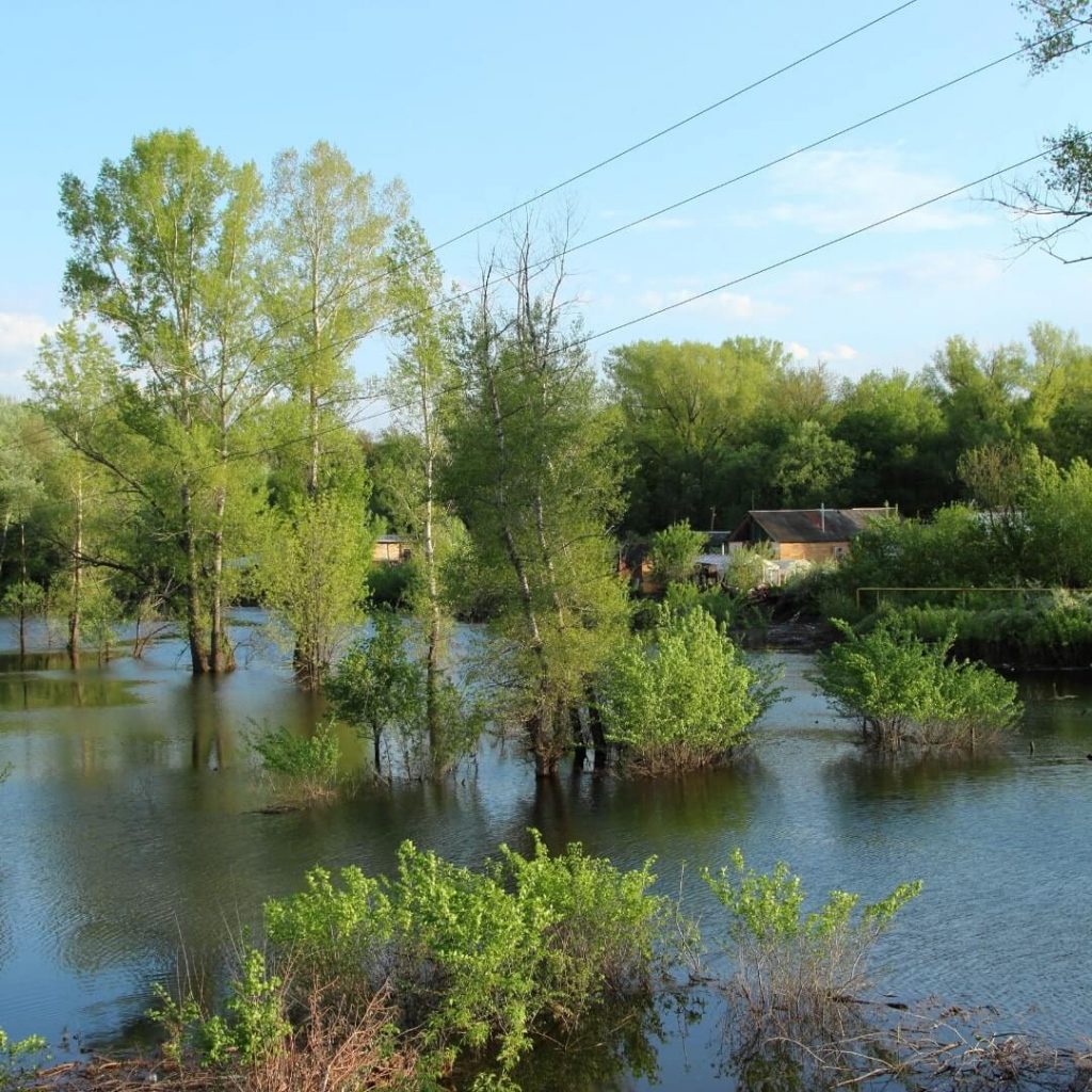 Choosing a Water Damage Restoration Service in Jacksonville