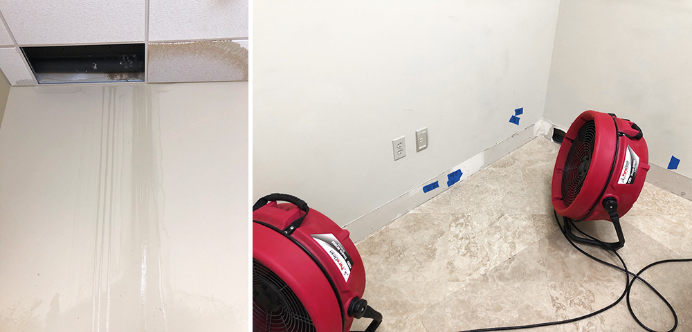 Wet Drywall with Mold