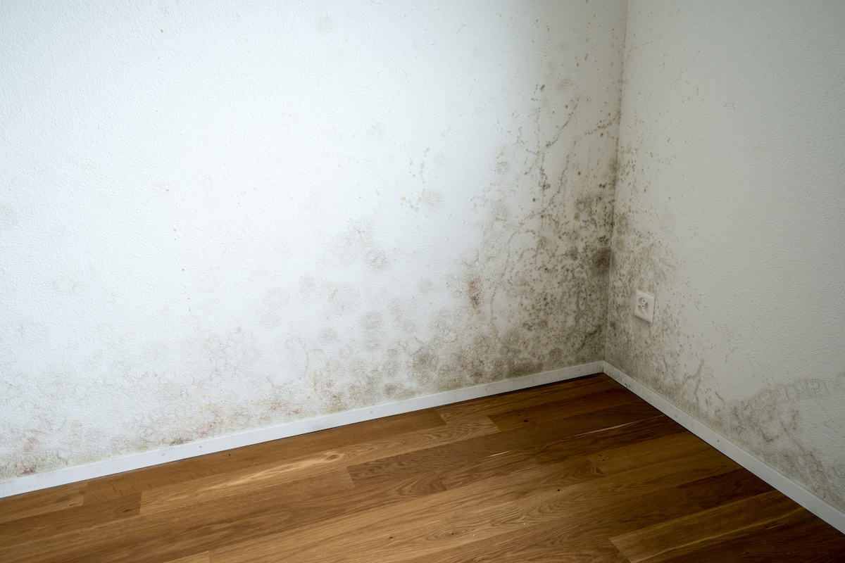 Water Damage Restoration