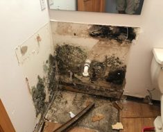 Mold growth from water damage before picture