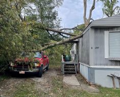 Attica storm damage tree removal